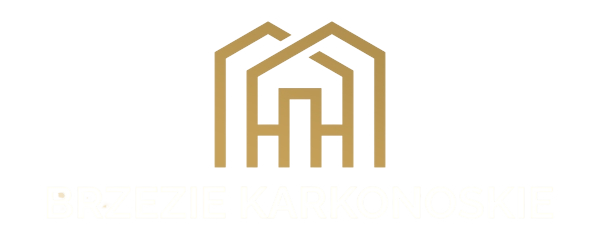 brzezie karkonoskie logo reverse